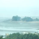 바르바커피 티스토리