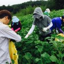 광산구-013 이미지