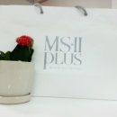 ms2plus 예쁜피부 엠에스투플러스 사용후기