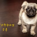 E&F행정사사무소 이미지