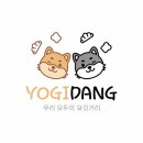 요기당 네이버블로그