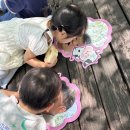 마전 제1호공원 이미지