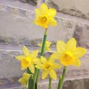 힐링카페온 이미지