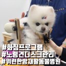 위런한방재활동물병원