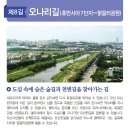 세교8길 티스토리