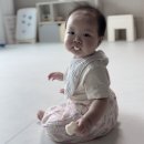 백미 | 아기 떡뻥 간식 추천 질마재농장 유기농 백미 떡뻥 내돈내산 후기