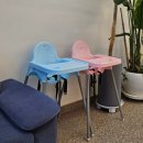 인천대공원 내 | 인천대공원 대형카페 장수동 앨리스가든 후기(베이커리, 주차)