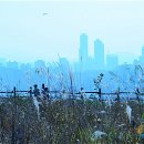 수노을공원2 이미지