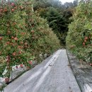 횡성농장 이미지