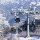 (여행) "이 곳 가기 위해 겨울 오기만 기다려요"... 겨울 여행으로 꼭 가볼만한 여행지 4곳 이미지