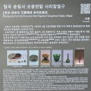 고산사목조석가모니불좌상 | 칠곡 송림사 1300년의 세월 오층전탑을 만나다