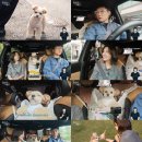 금비유치원 | ‘꼬순내택시’ 빠니보틀, 권은비와 열애설 직접 해명