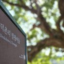 덕촌리 대구일보