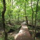 별천지공원-2 이미지