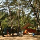 금물산하늘소캠프 이미지