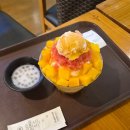 주)설빙서울이문점 | 설빙 서울이문점, 아기랑 같이 맛본 이문동 빙수 맛집 설빙의 자망코 빙수