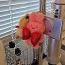 원큐뽑기방 | "좀 충격적인데...대인기피증, 강박증, 우울증 그리고 회피성 인격장애, 영양실조, 밴드공연중독입니다.."