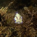 남해-312 이미지