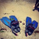 장호항바다랑 펜션 이미지