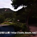 병풍사주차장 Daum카페