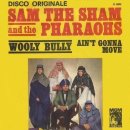 Wooly Bully - Sam The Sham &amp; The Pharaohs 이미지