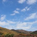 (주)고도관광