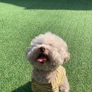로인스튜디오