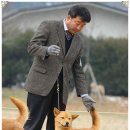 비상초등학교 Daum카페