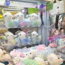 인형뽑기뽑아보세 | 고대놀거리 추천 K대인형뽑기학과 인형뽑기방