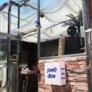 소답동204 | 창원브런치, 조니오븐 맛있는 바베큐 먹고 온 후기