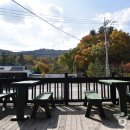 화이트캐빈 이미지