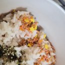 노리명가 | 꼭 사야 할 맛도리 추천, 내돈내산 후기 :: 칼디 시오켄피 / 마루미야 노리와사비 후리카케 & 치이카와...