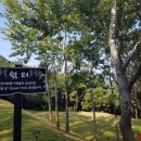 성주카병원 이미지