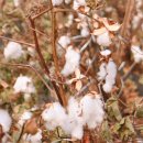 장독대민박 | 겨울 가족 여행 - 순천, 낙안읍성 시골살이 체험 / 초가집 숙소, 장독대 민박