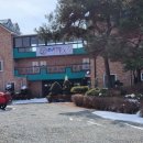 광판팔뚝김밥 명동점 이미지