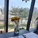 유(YOO)헤어 이미지