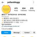 폴앤도기 이미지