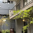 청산(Aoyama) 이미지