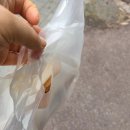 와플대학일산후곡캠퍼스 | 와플대학 일산 후곡캠퍼스 크림 사과잼 오리지널 와플