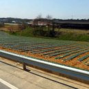 평택물류주유소 이미지