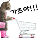 자연눈썹율하점