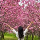 🐄 충남 예산 아그로랜드 태신목장, 자연 속 가족 힐링 여행 🌿