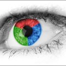 눈에빛안경콘택트 이미지