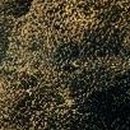 발안제일의원 이미지