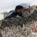 수옥경로당 이미지