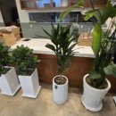 교동호프 이미지