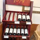 중앙로상점가 | 대전 대흥동 신상 맛집 미도인 | 한식 곱창 대창 덮밥 추천 후기