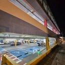 정준오리 이미지