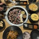 댕댕이꼬양 이미지