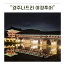 경주야경투어 후기 월정교부터 첨성대 미디어아트까지 아이와 함께한 신라왕궁야행